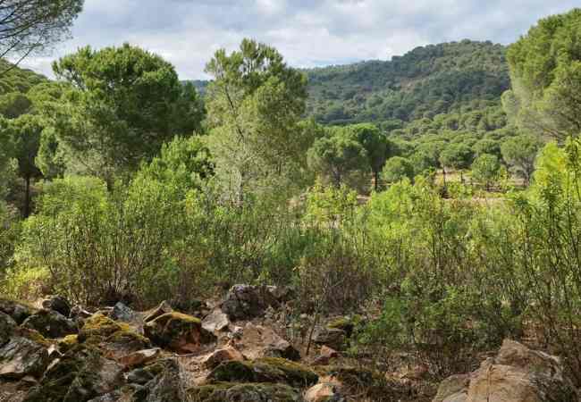 Cartel BiossFera Terra